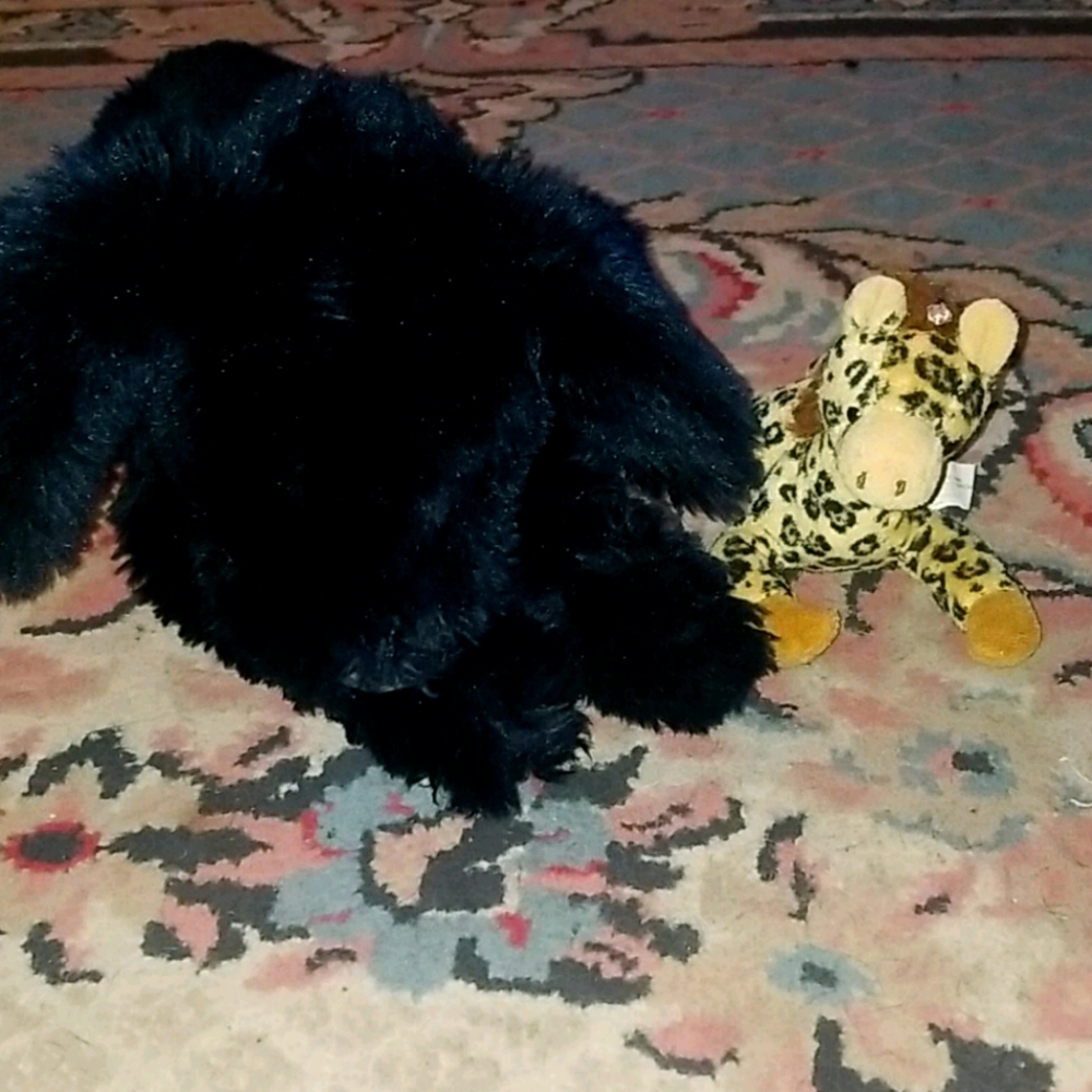 Stuff animals